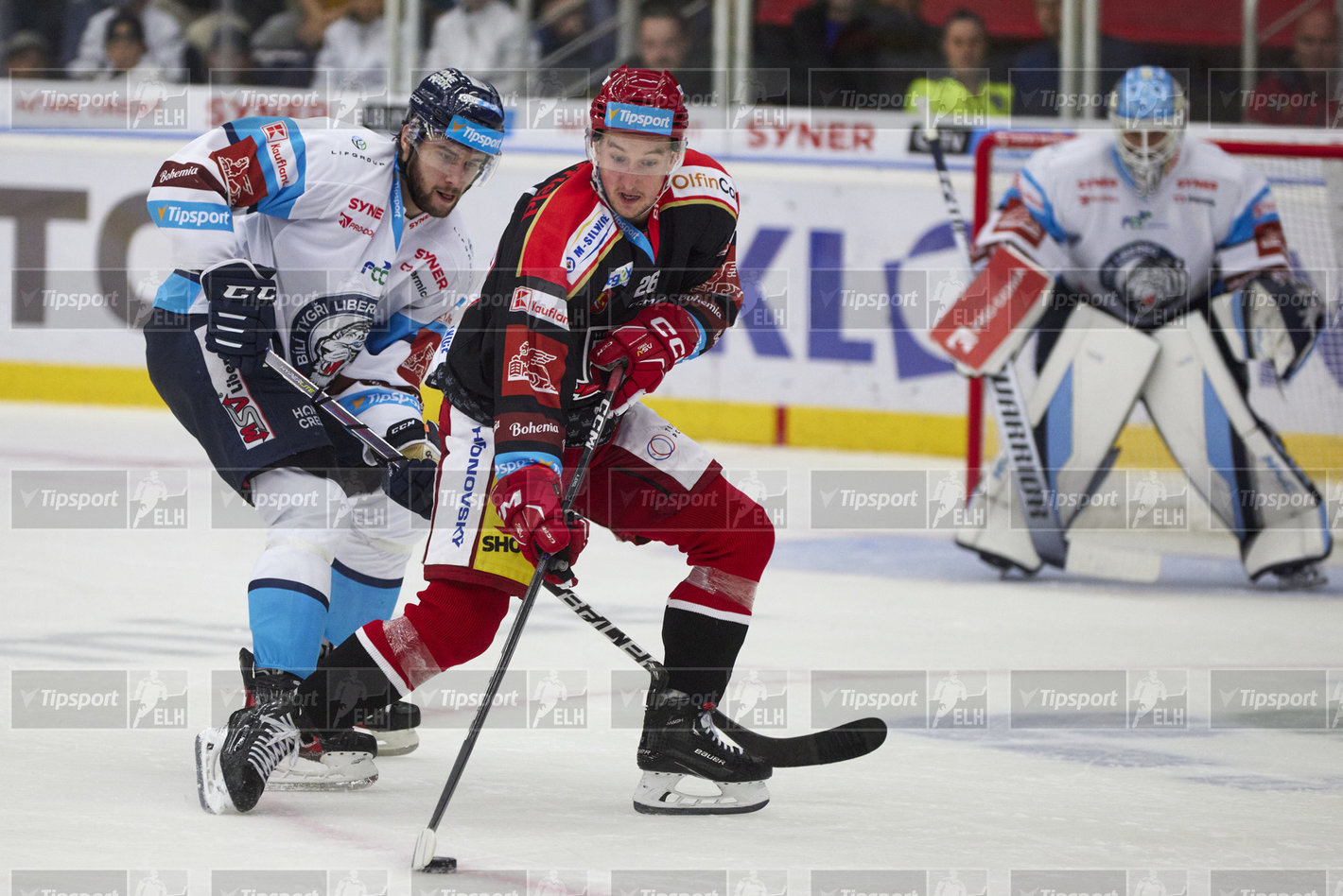 Aleš Jergl v jednom z útoků Hradce sledován Uvisem Balinskisem. Foto: Jiří Princ