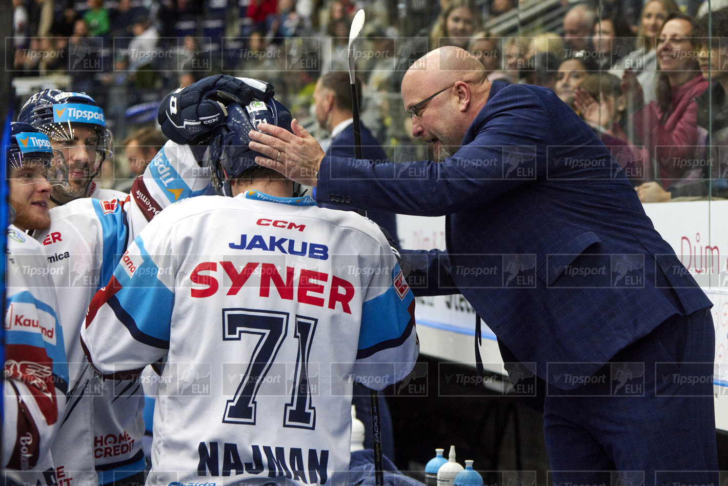 Radost na střídačce z hattricku Adama Najmana. Foto: Jiří Princ