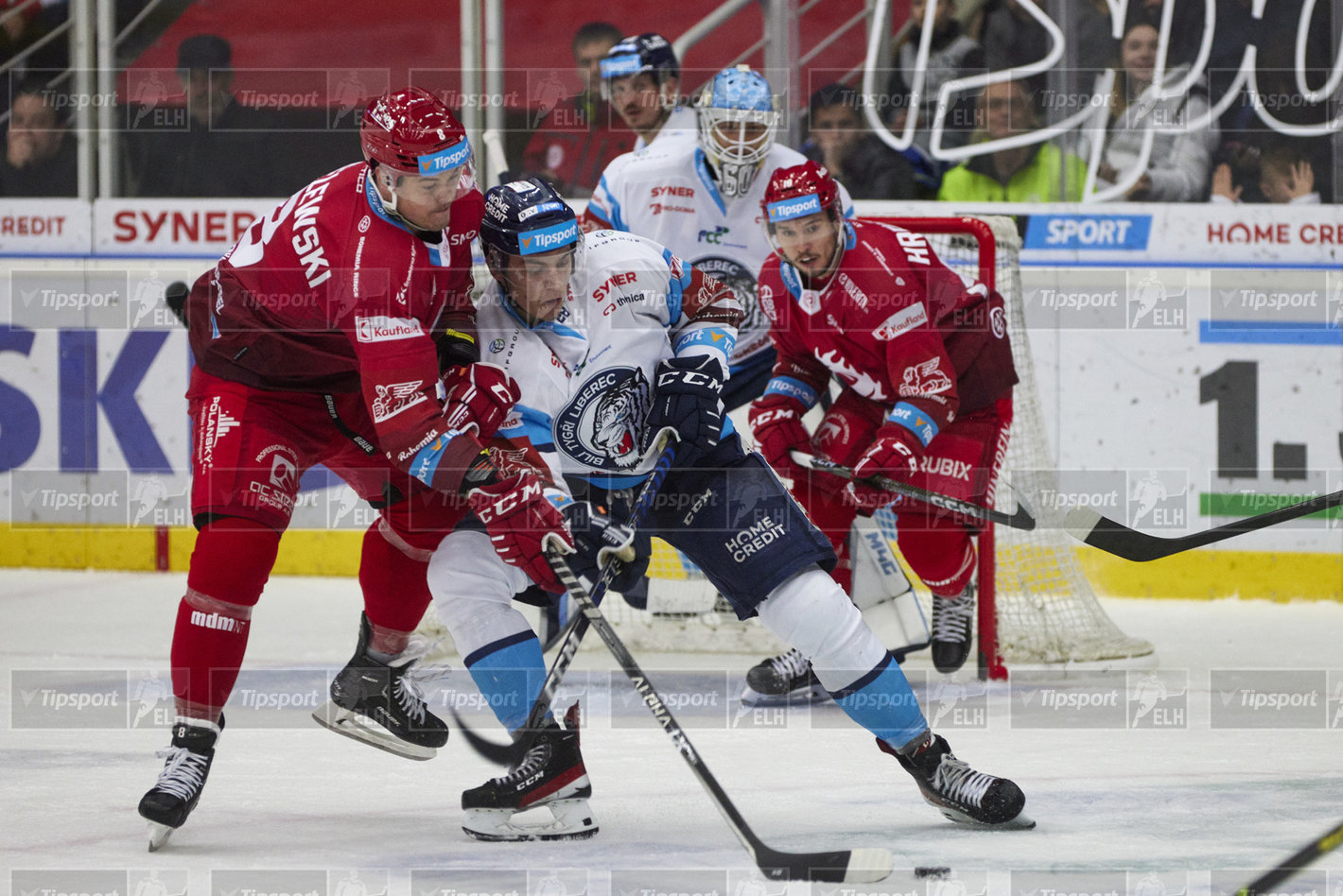 Jan Šír v souboji o puk s Aronem Chmielewskim. Foto: Jiří Princ