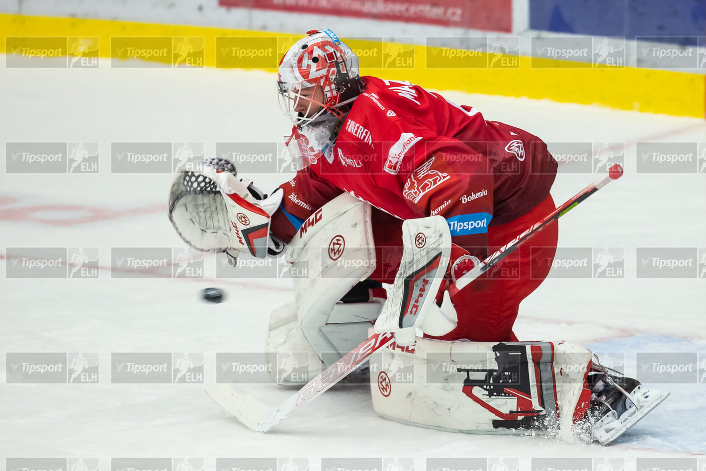 Foto: Stanislav Souček / Mountfield HK