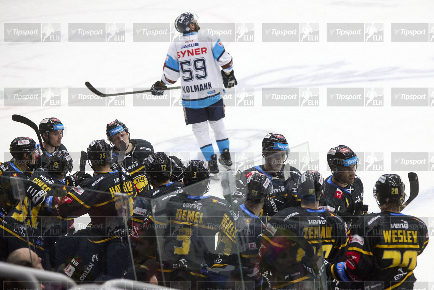 Děkovačka za jediný gól Litvínova. Foto: Jiří Princ