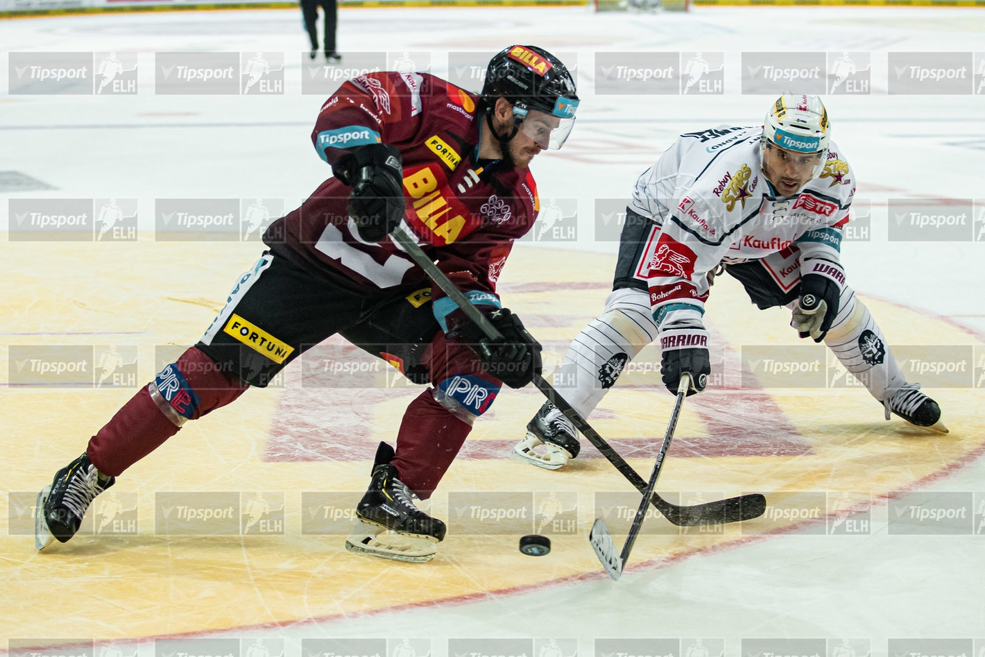 David Kaše a Tomáš Plekanec. Foto: Jan Beneš.