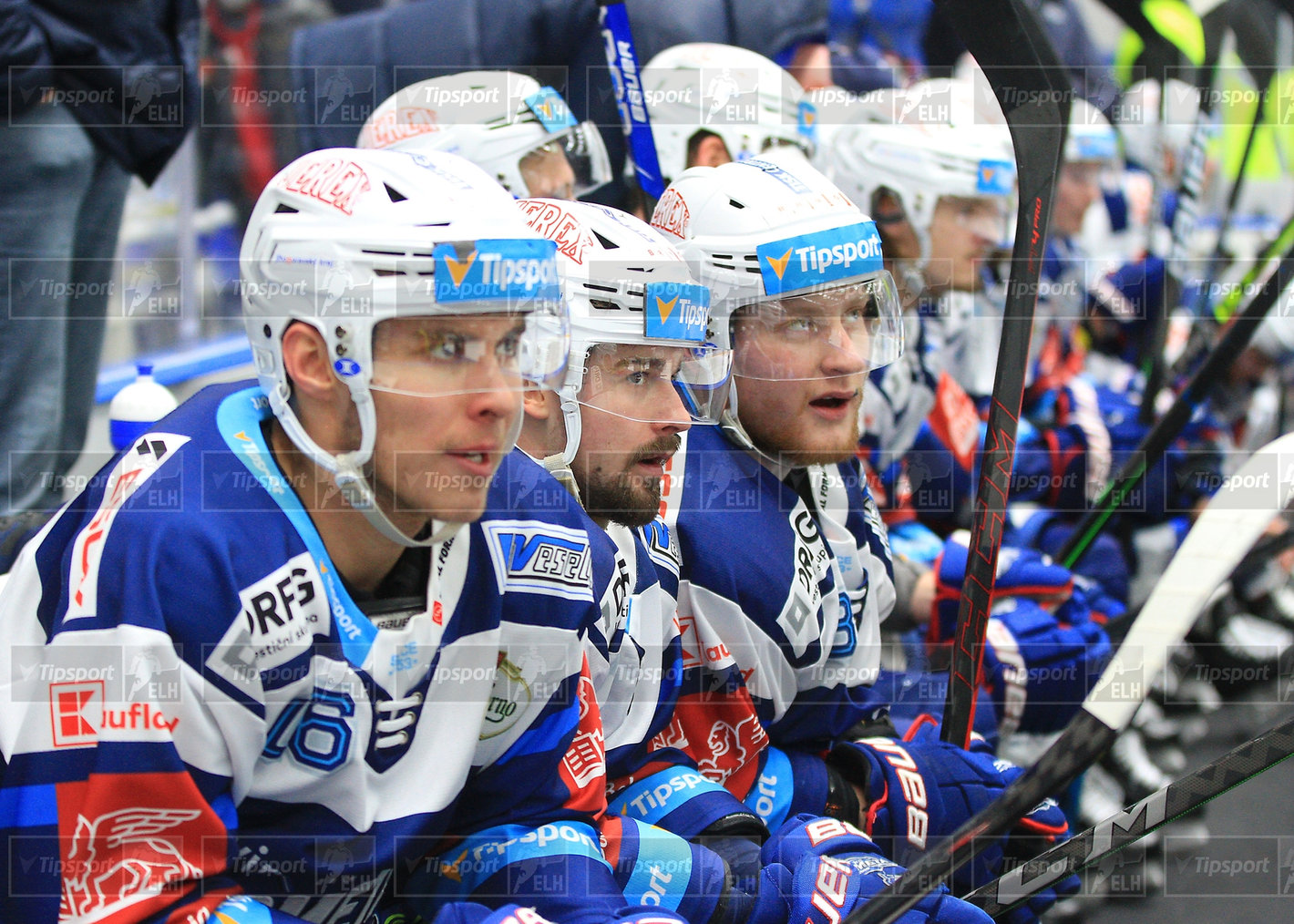 Na brněnské střídačce (zleva) Luboš Horký, Petr Kratochvíl, Adam Zbořil (foto: Ivo Dostál)