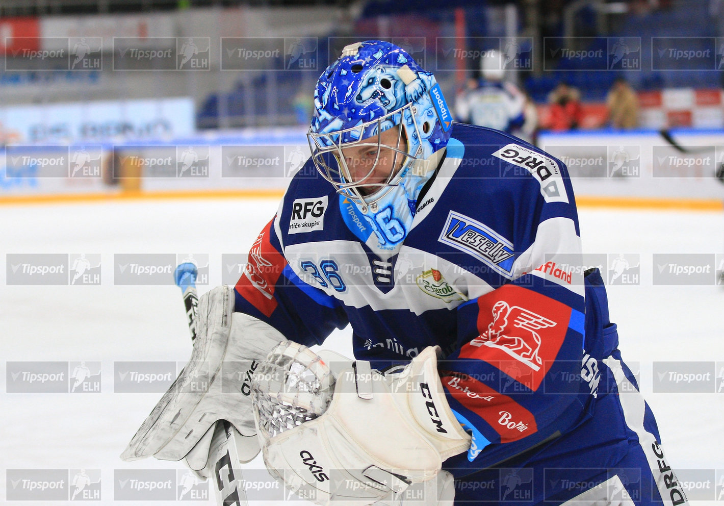 Jakub Sedláček (foto: Ivo Dostál)